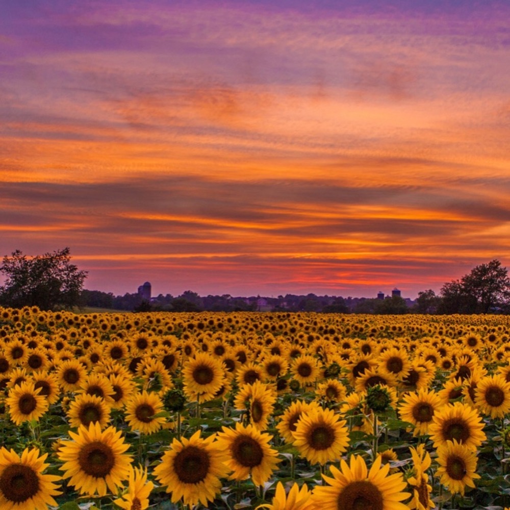 Meet your Posher, Kristin